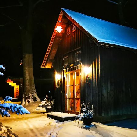 Berghuette Mit Finnischer Blockhaussauna Rosenthal-Bielatal Bagian luar foto